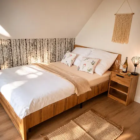Silvarium Kaszuby Brzoza Ferienhaus