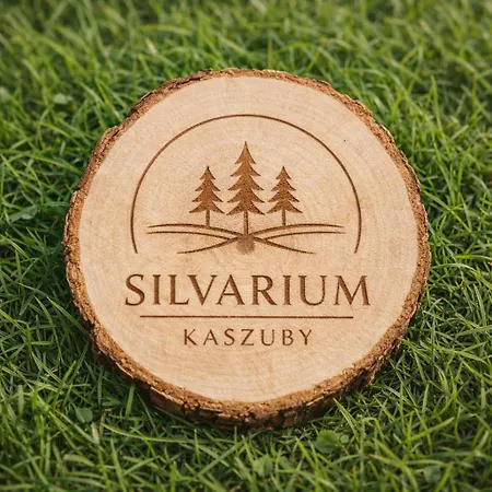 Silvarium Kaszuby Brzoza 別荘