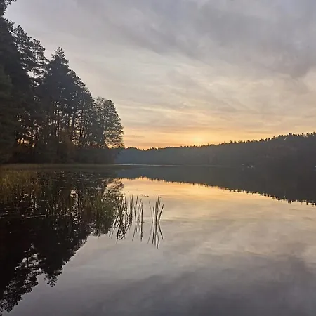 Silvarium Kaszuby Brzoza Stężyca